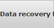 Data recovery for Los Lunas data