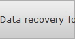 Data recovery for Los Lunas data